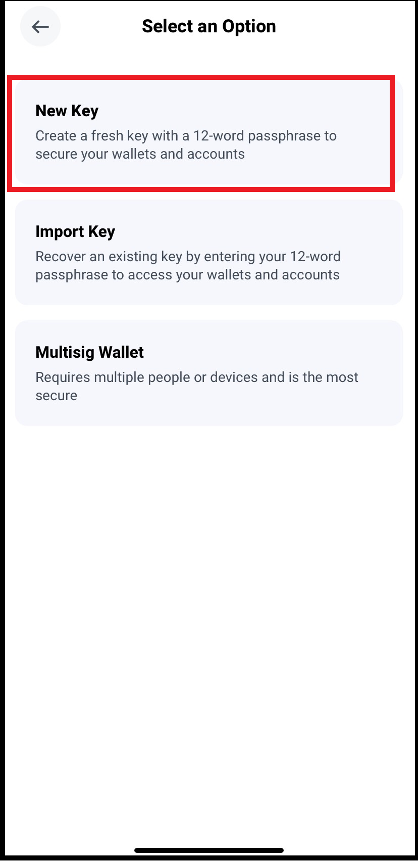 bitpay - wallet2.png