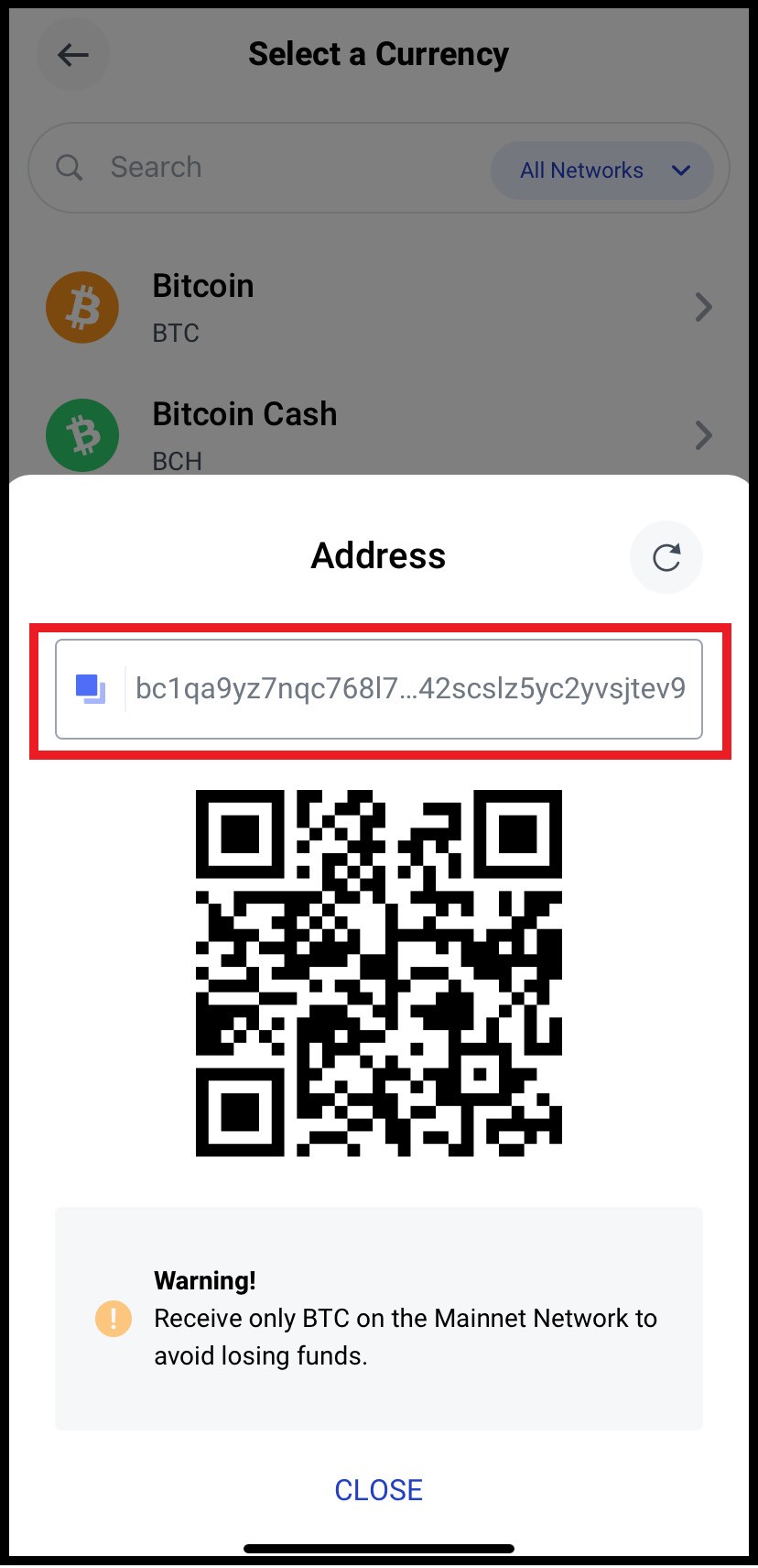 bitpay - receive4.jpg