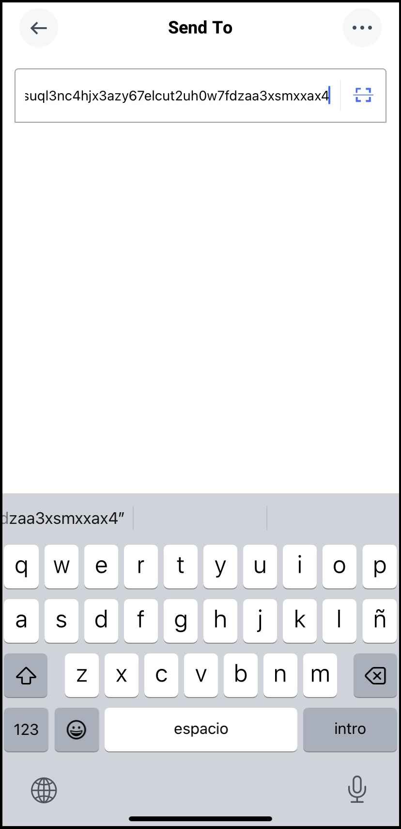 bitpay - dep4.png