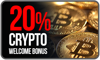 20% crypto.png
